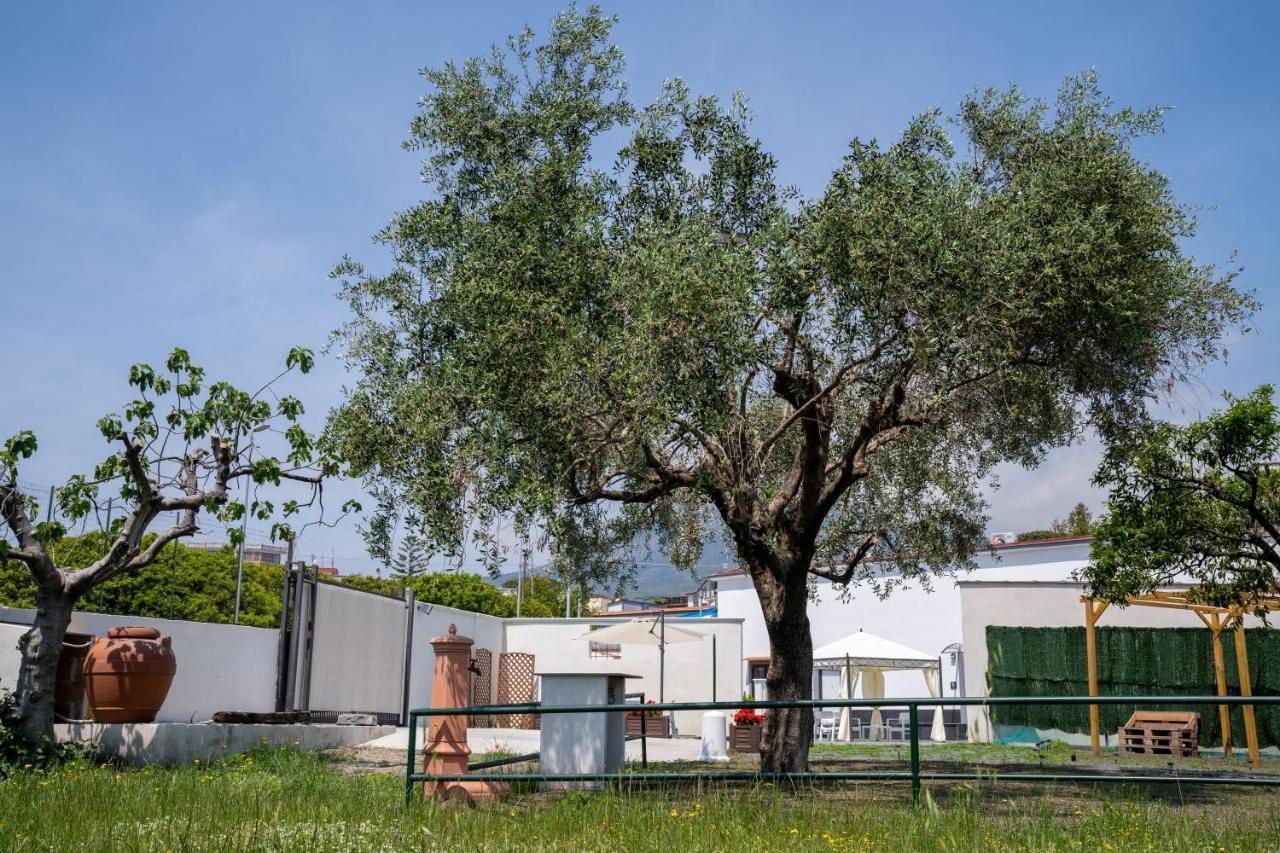 Napul'E B&B Boscotrecase Esterno foto
